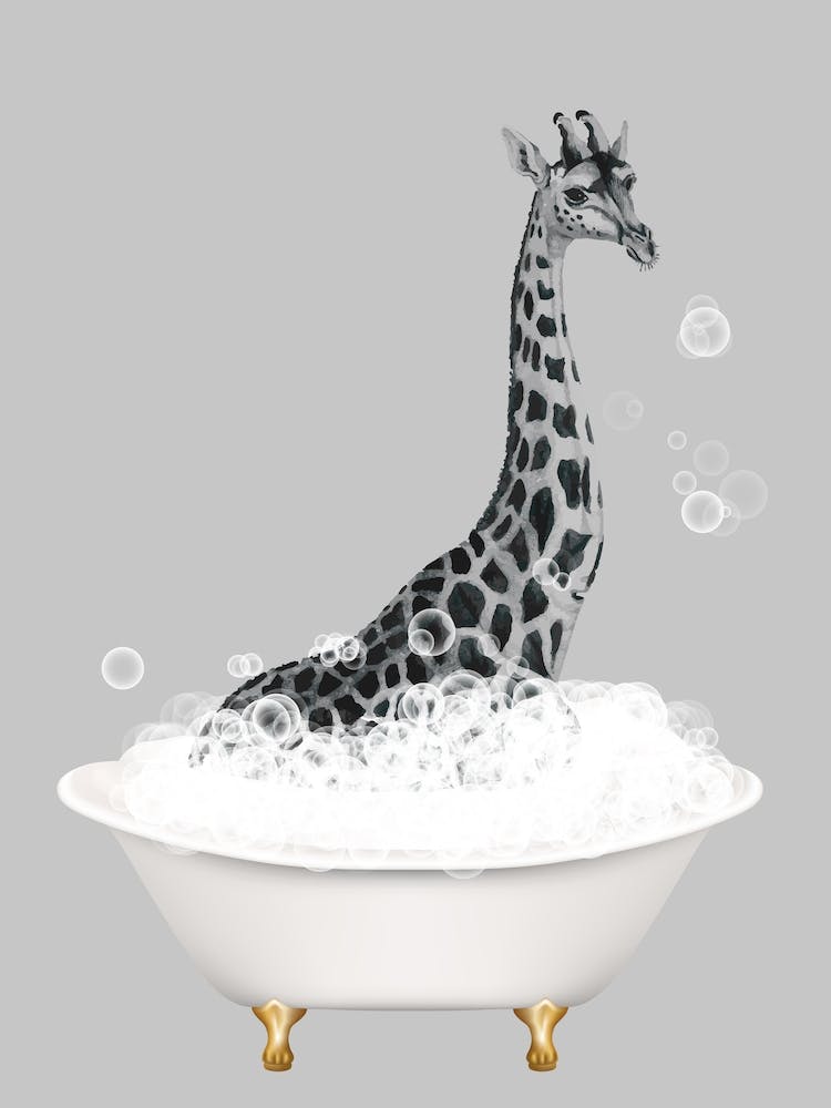 Giraffe taking a bath
