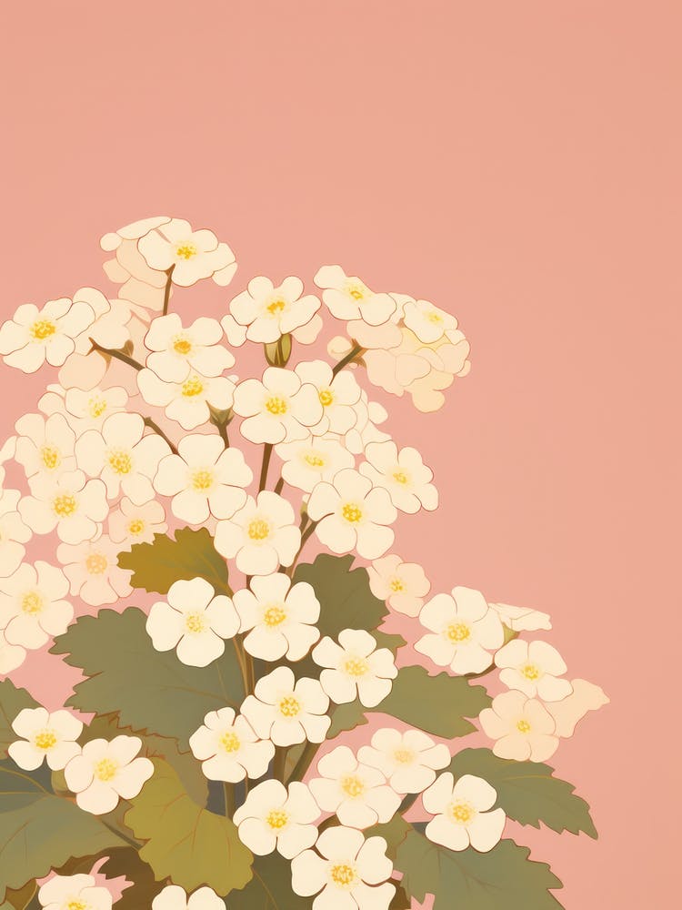 Illustration Grande et Audacieuse de Fleur de Primevère 1