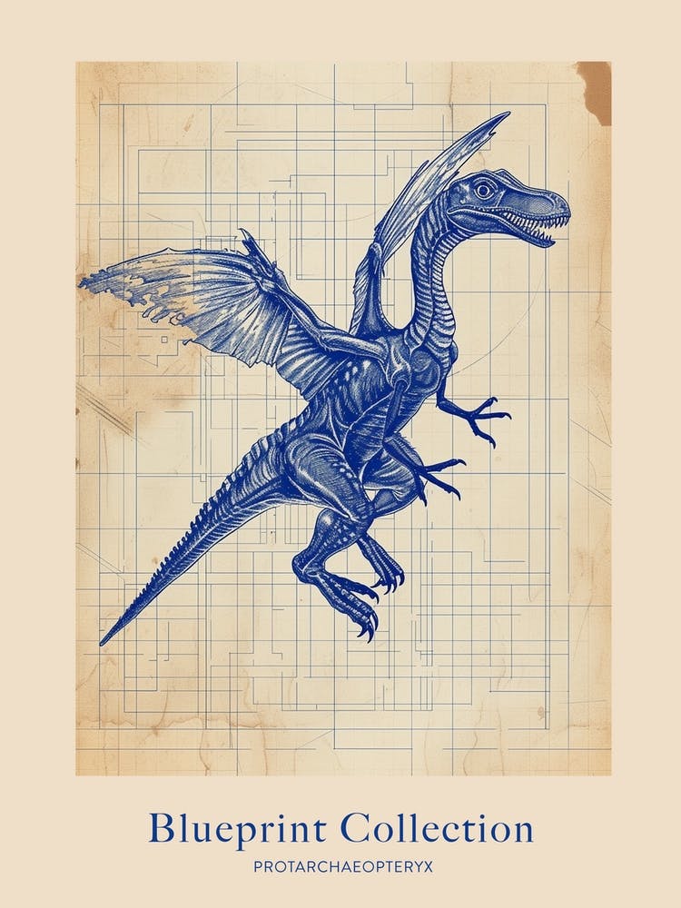 Protarchaeopteryx Dinosaur Blue Print Sketch 3 Poster