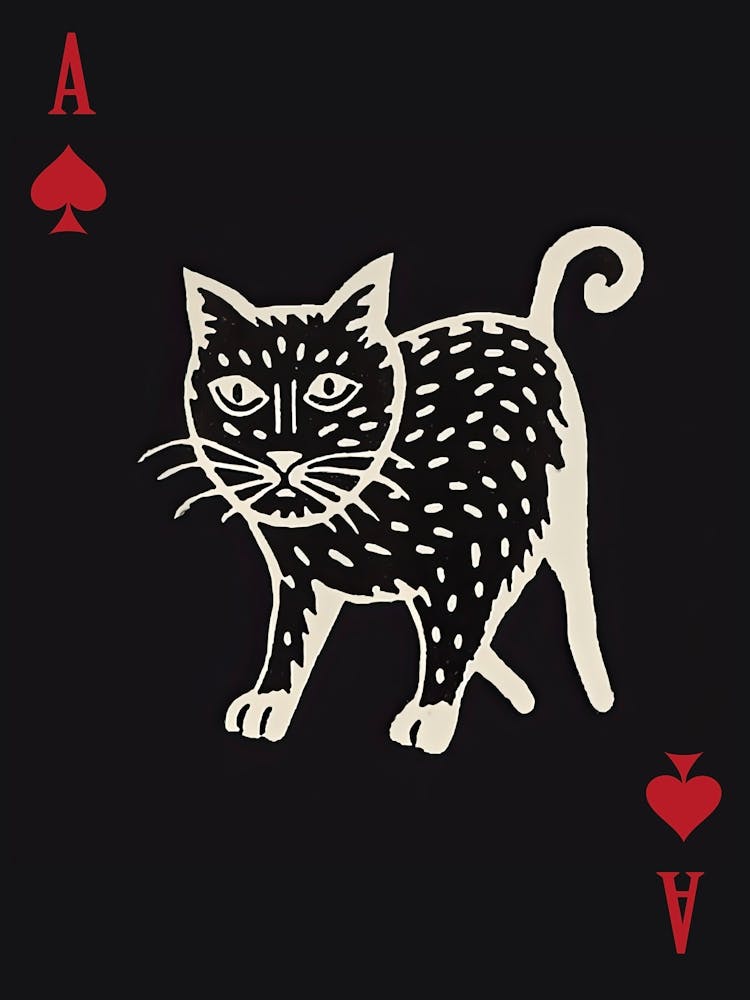 Playing Cards Cat 1 Black 3