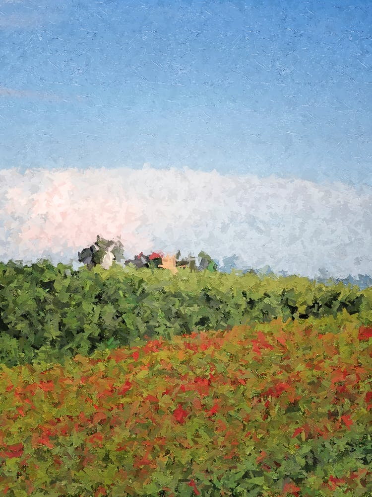 Italy Tuscany Villa 2 Landscape Oil Digital Painting Coarse