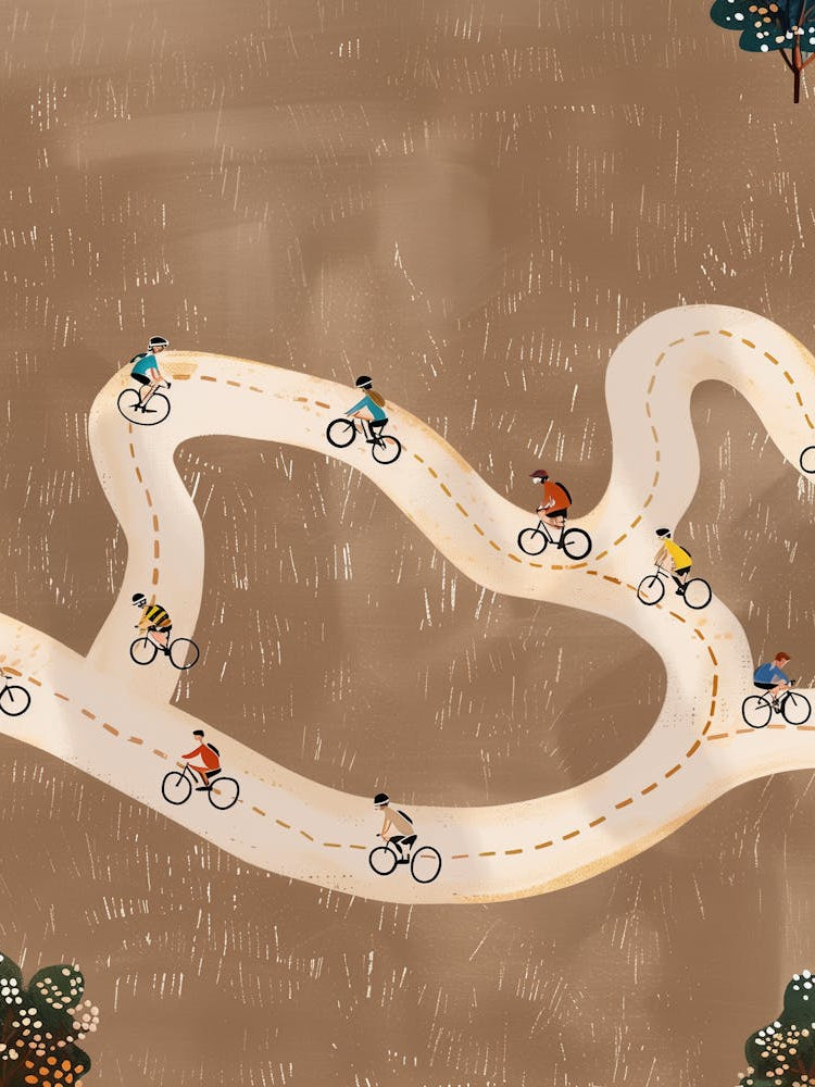 Cyclists On The Road 1