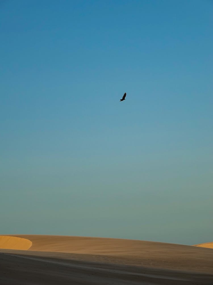 Wind Sculpted Sand Dunes, Piauí, Brazil