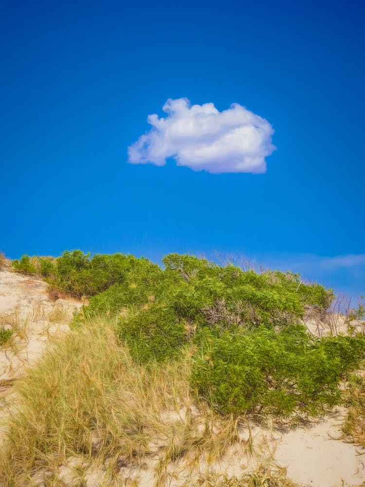 The Lone Cloud 2