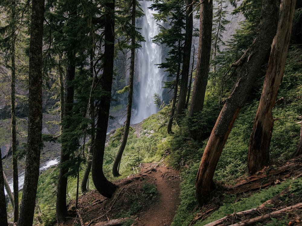 To the Falls