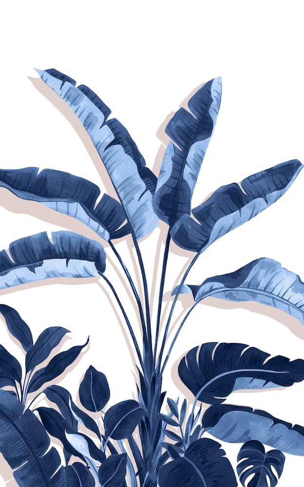 Traveller's Palm