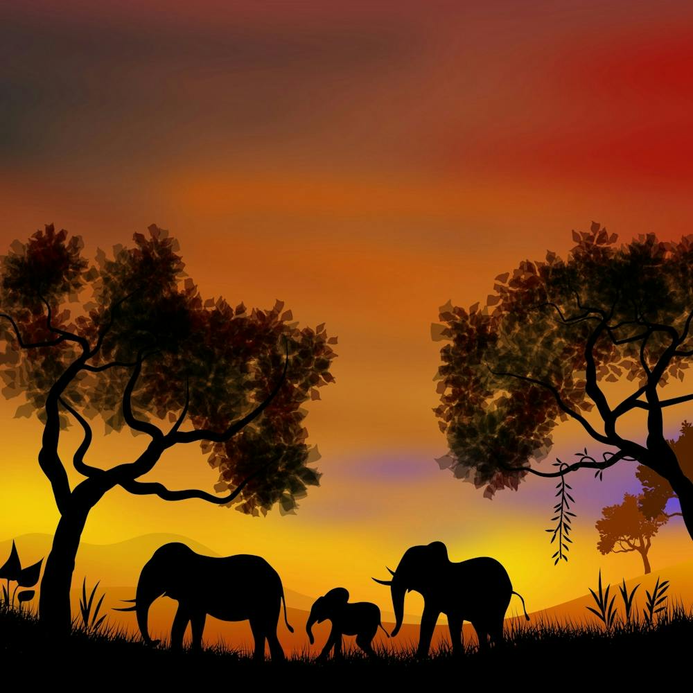 Landschaftsillustration Elefanten Tiere Afrika Sonnenuntergang Abenddämmerung Nachthimmel
