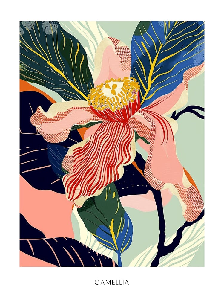 Colourful Flower Illustration Poster Camellia 3