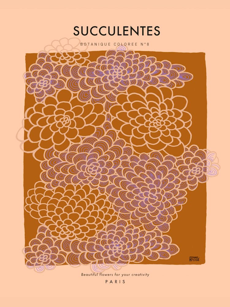 Botanic Collection - Peach Fuzz - Succulents