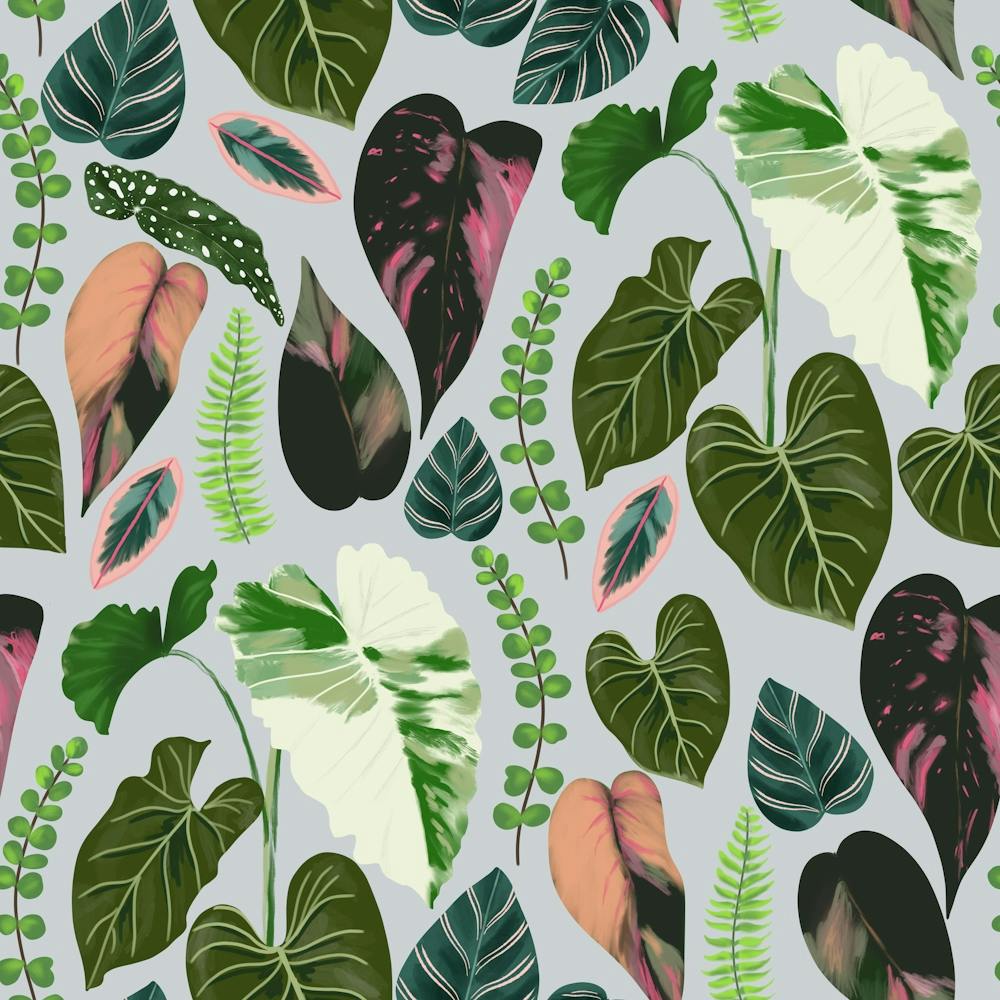 Tropical Leaves