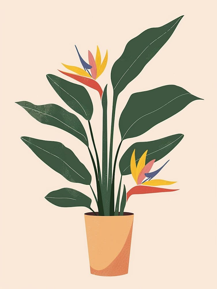Bird Of Paradise Plant Minimalist Illustration 7