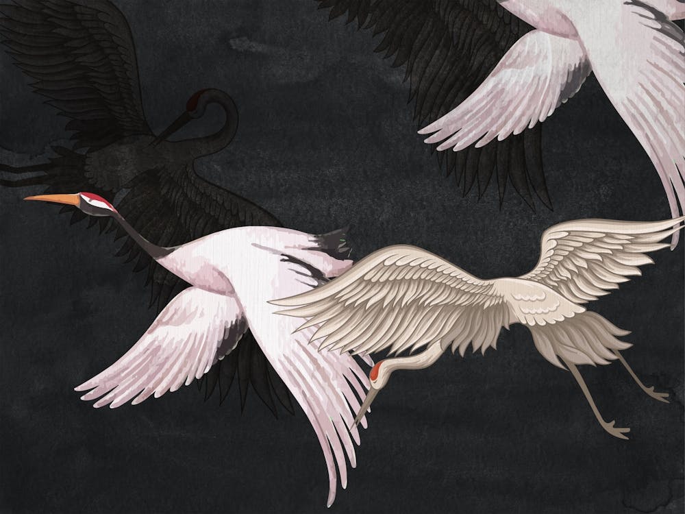 Beautiful Japanese Flying Birds Black Watercolor Painting
