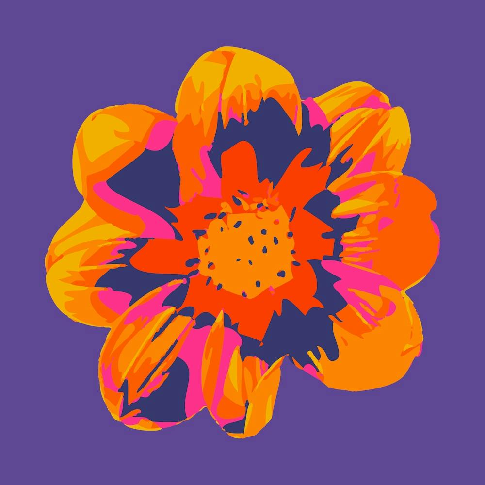 COSMIC COSMOS Single Abstract Floral Summer Bright Flower in Fuchsia Pink Orange Yellow on Purple