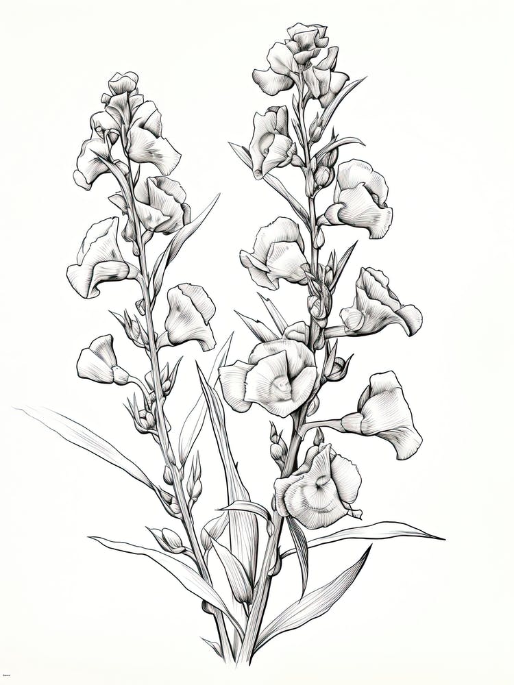Snapdragons Flower Vintage Botanical 2