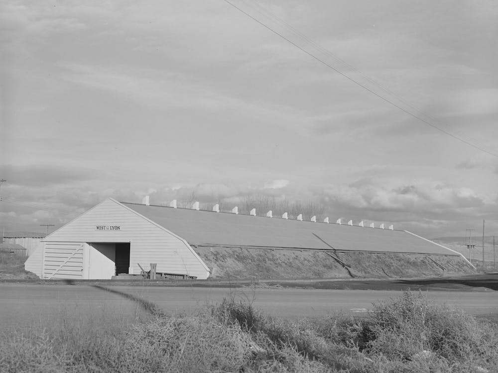Untitled Photo, Possibly Related To Klamath County, Oregon, Potato Cellar By Russell Lee