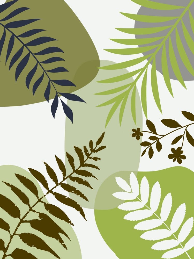 Fern Leaves 6