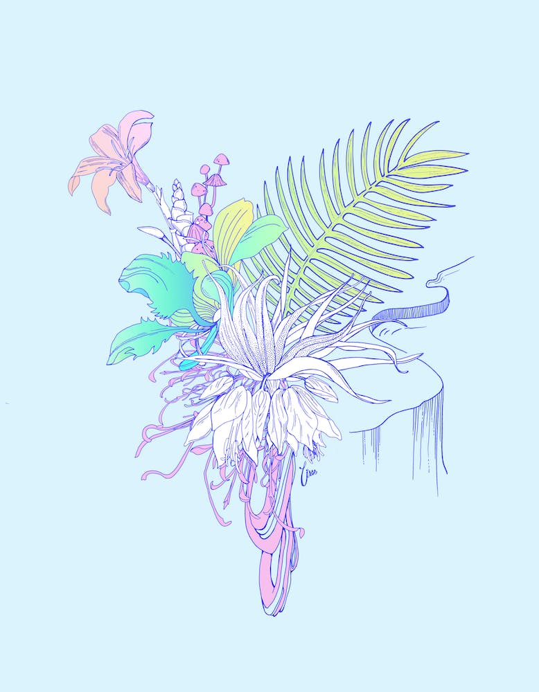 Halcyon