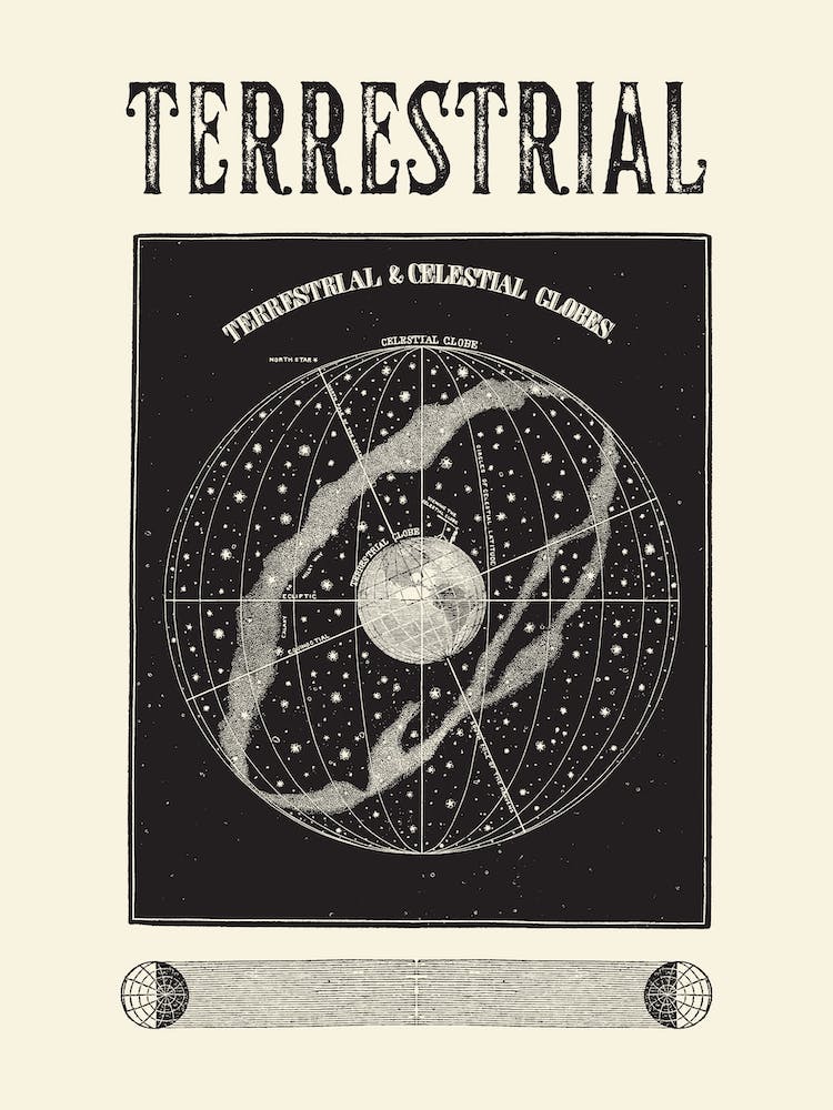 Terrestrial