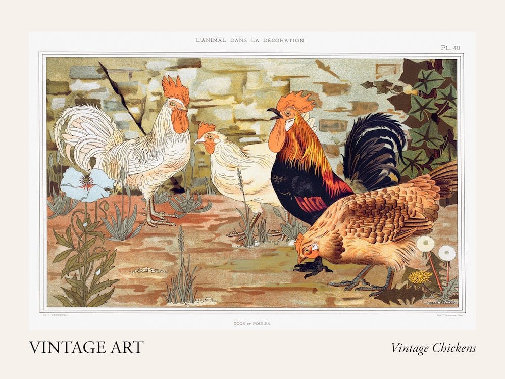 Vintage Chickens Poster