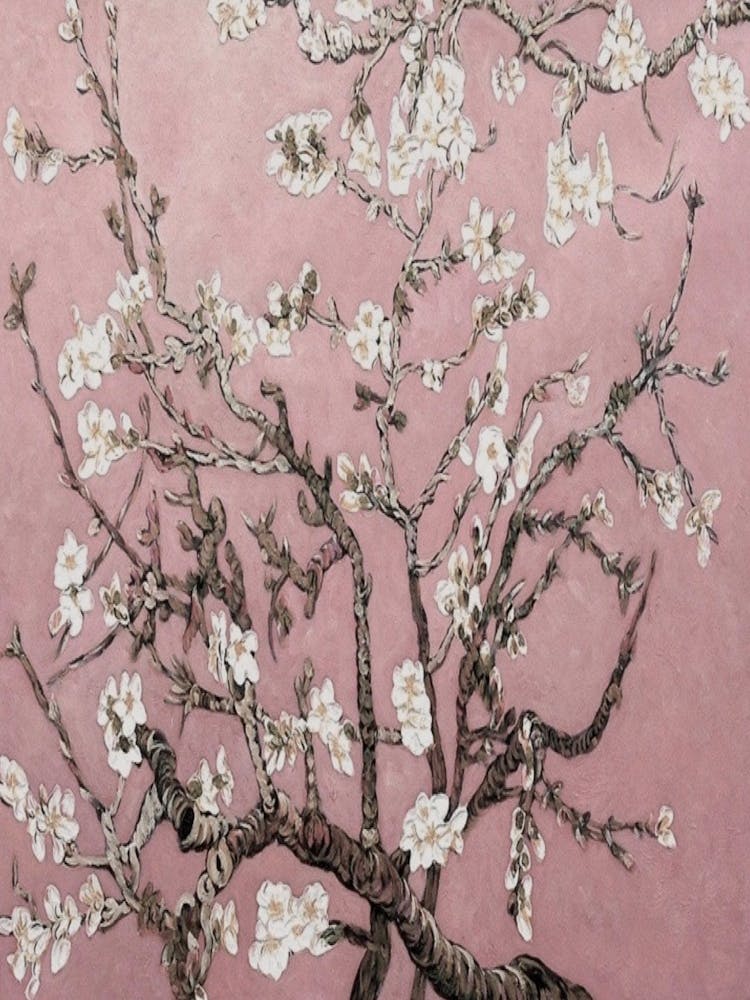 Blossoming Almond Tree
