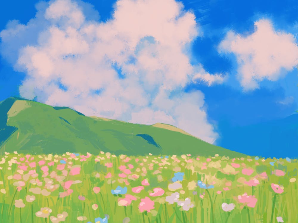 Field Of Flowers