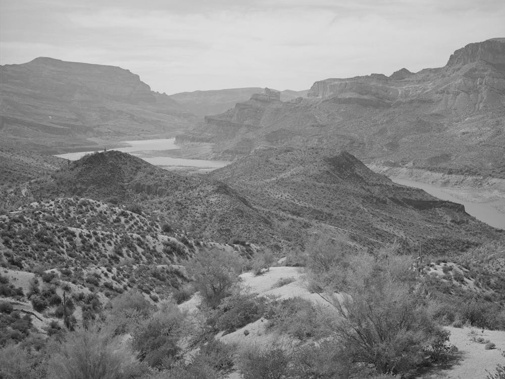 Szene vom Apache Trail zwischen Globe und Phoenix, Arizona von Russell Lee