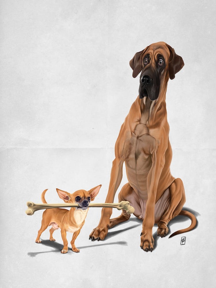 The Long and the Short and the Tall (Wordless)