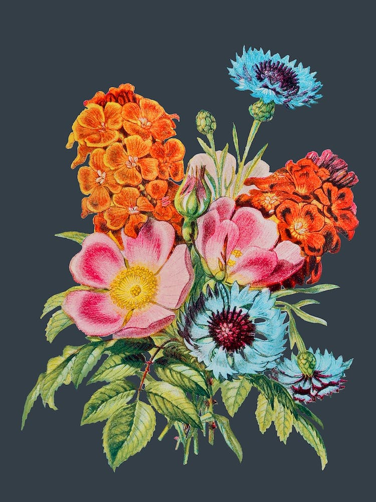 Vintage Flowers Floral Illustration Grey