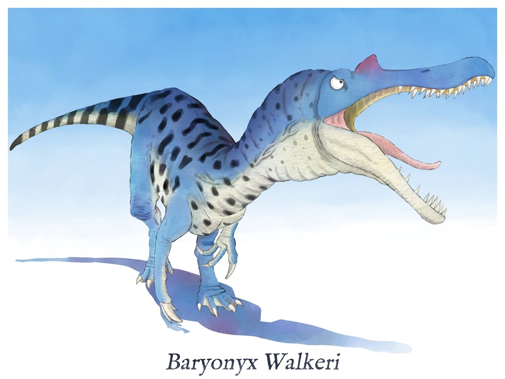 Baryonyx Walkeri