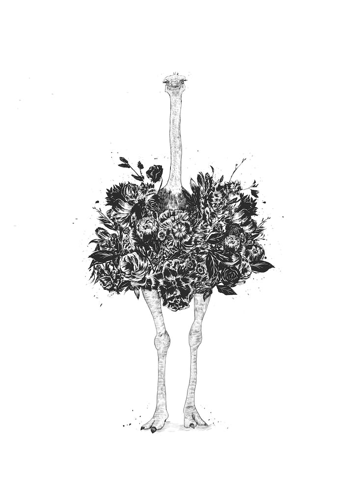 Floral Ostrich Line