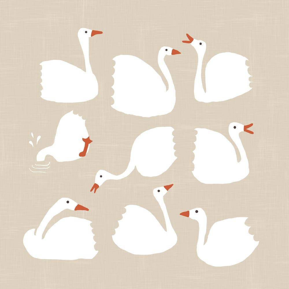 White Geese 1