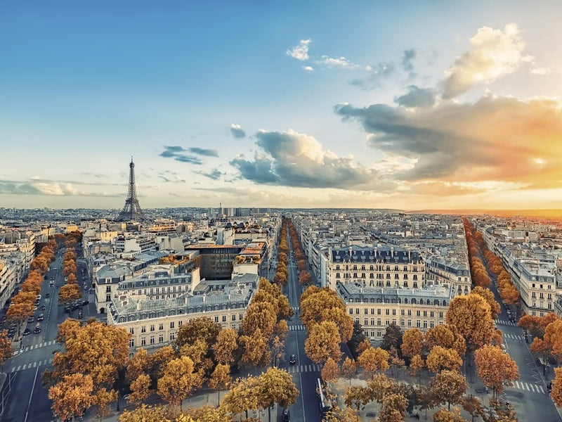 Paris Panorama