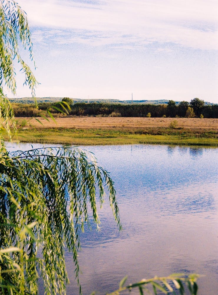 Peaceful Moment