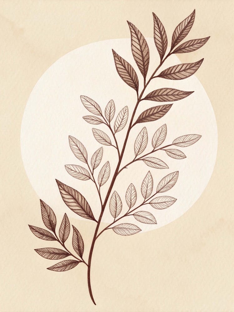 Leaf On A Beige Background