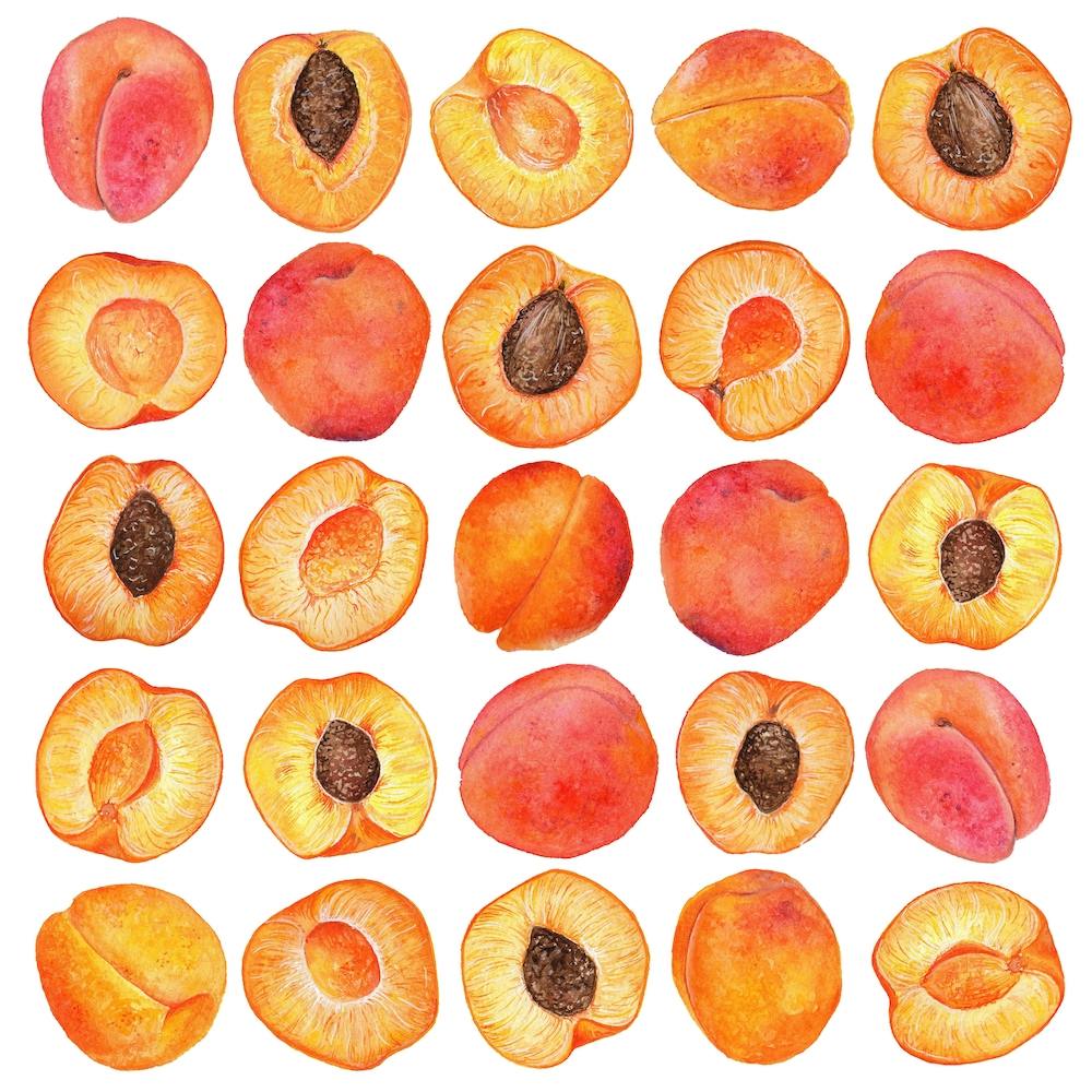 Repeat Pattern Apricot Square