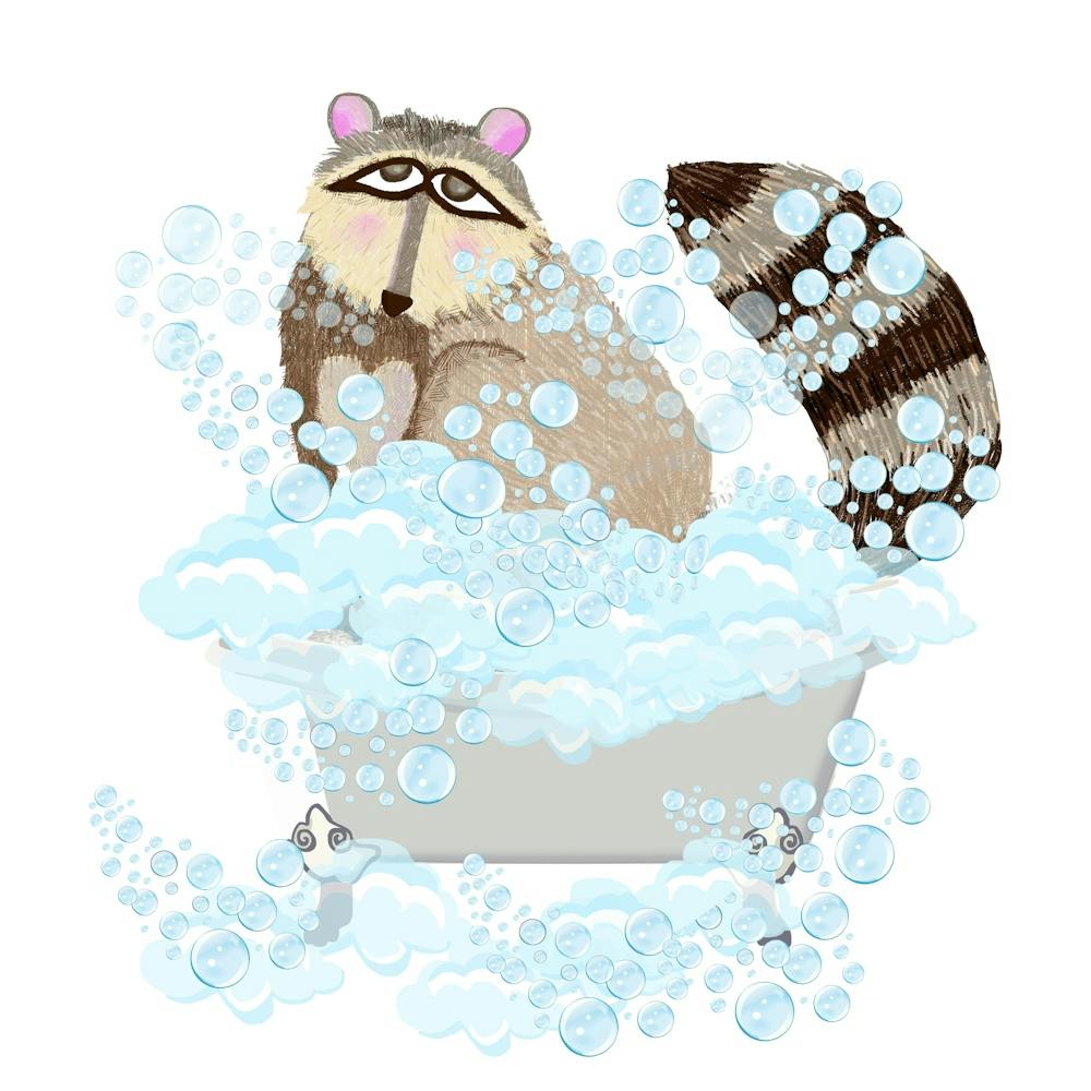Raton laveur dans la baignoire