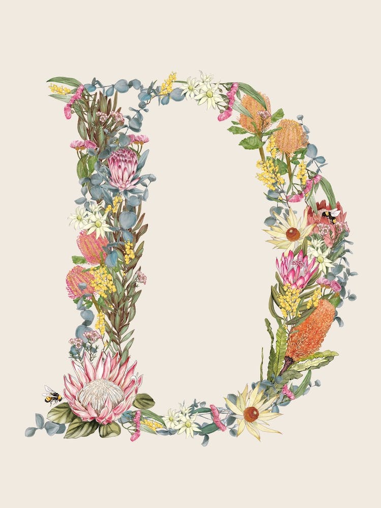 D Oat Alphabet Letter