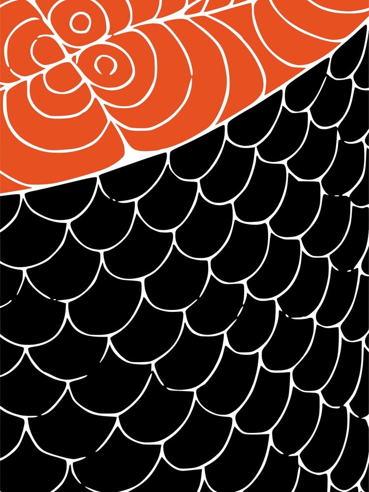 Sashimi Red And Black