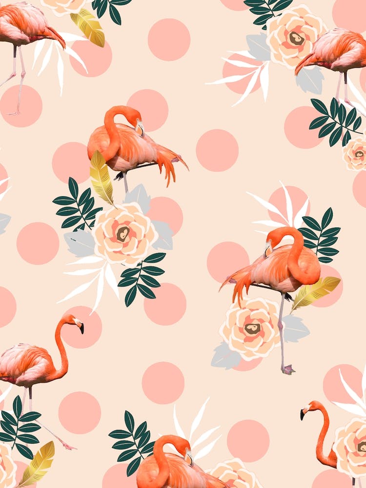 Flamingo Jazz In