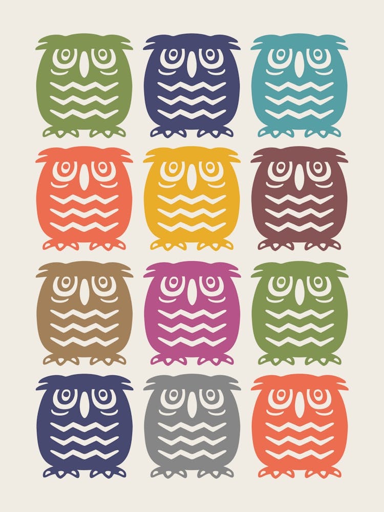 12 Owls