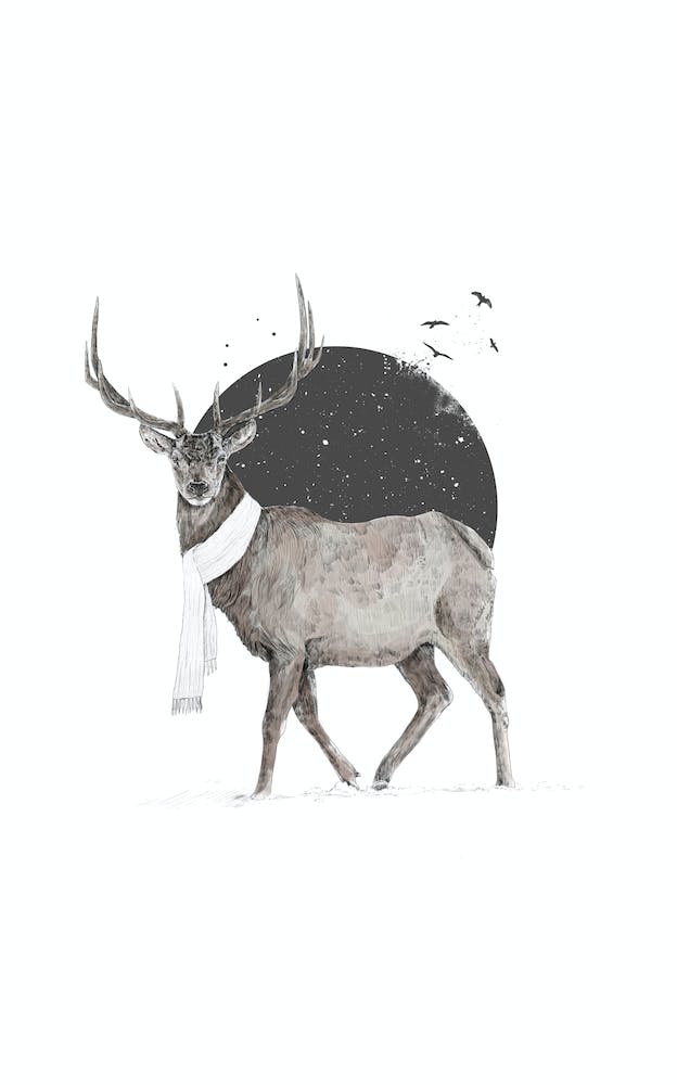 Winter Is All Around