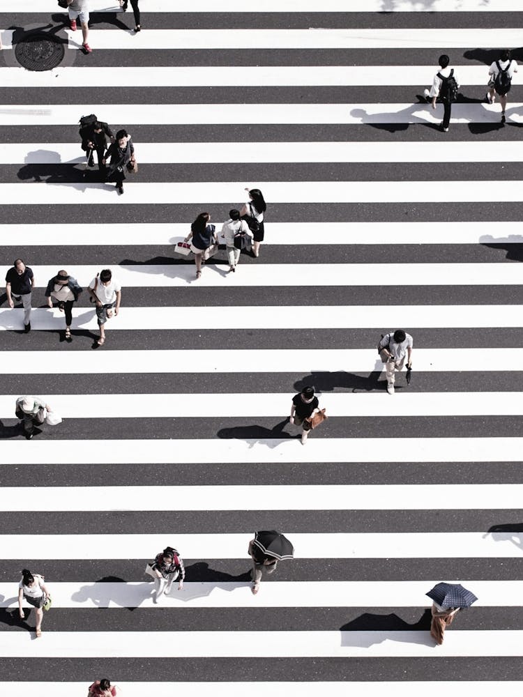 Abstract City Crosswalk Stripes