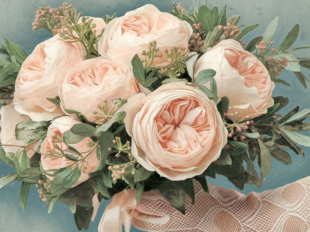 Soft Juliet Roses - Floral