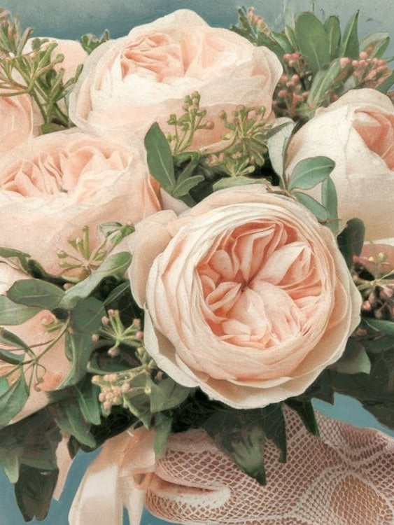 Soft Juliet Roses - Floral
