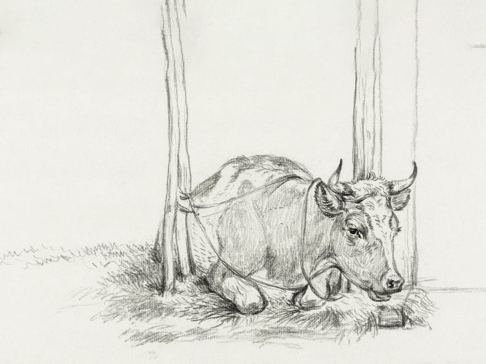 Lying Cow (1826), 1, Jean Bernard