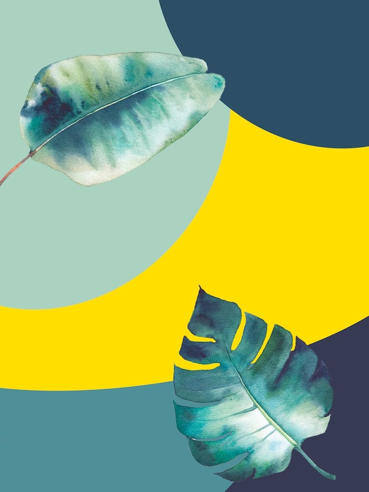 Nature Illustration