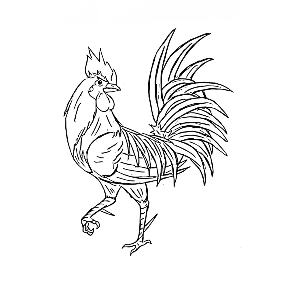 Rooster