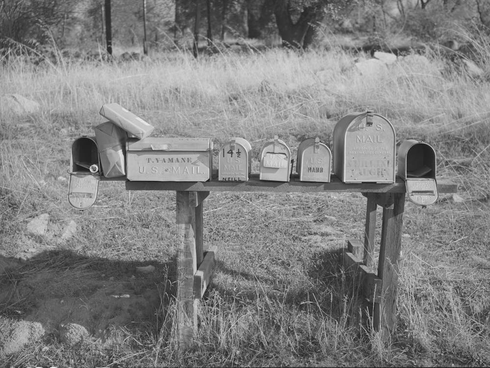 Mail Boxes Near Auburn, California, Notice The Japanese Name, The Japanese Are Moving Into This Section