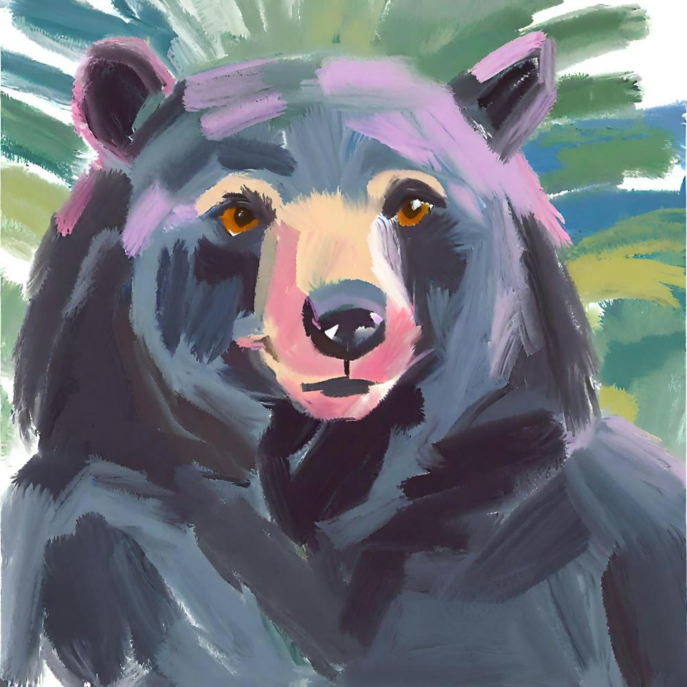 Black Bear 02