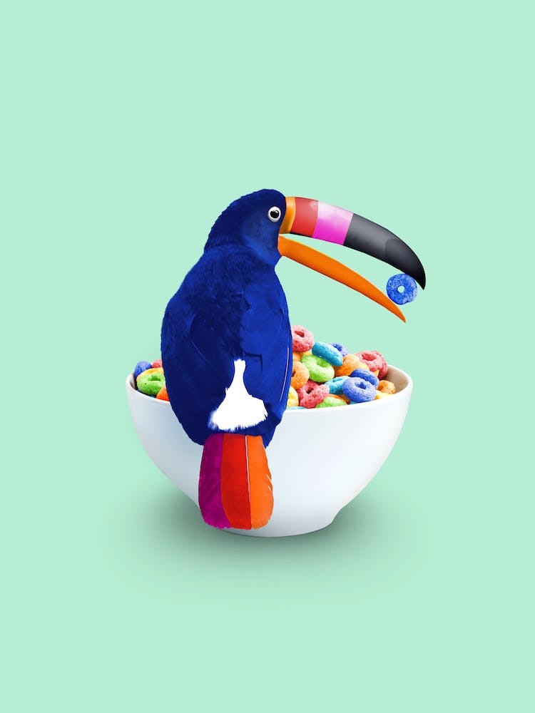 Loop Toucan